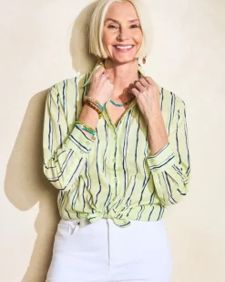Cotton Voile Collared Striped Shirt
