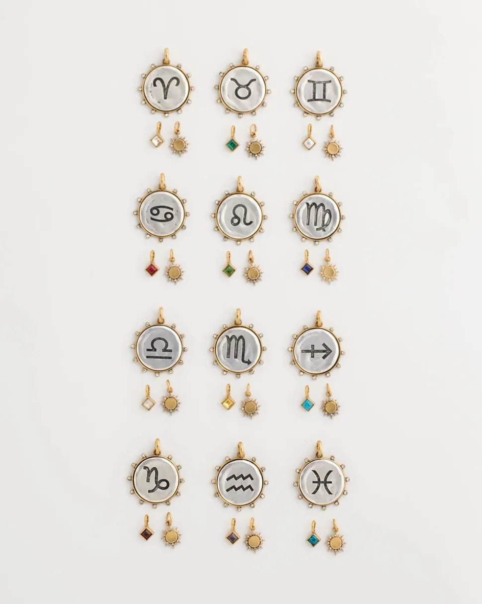 Pisces Zodiac Charm Pendant